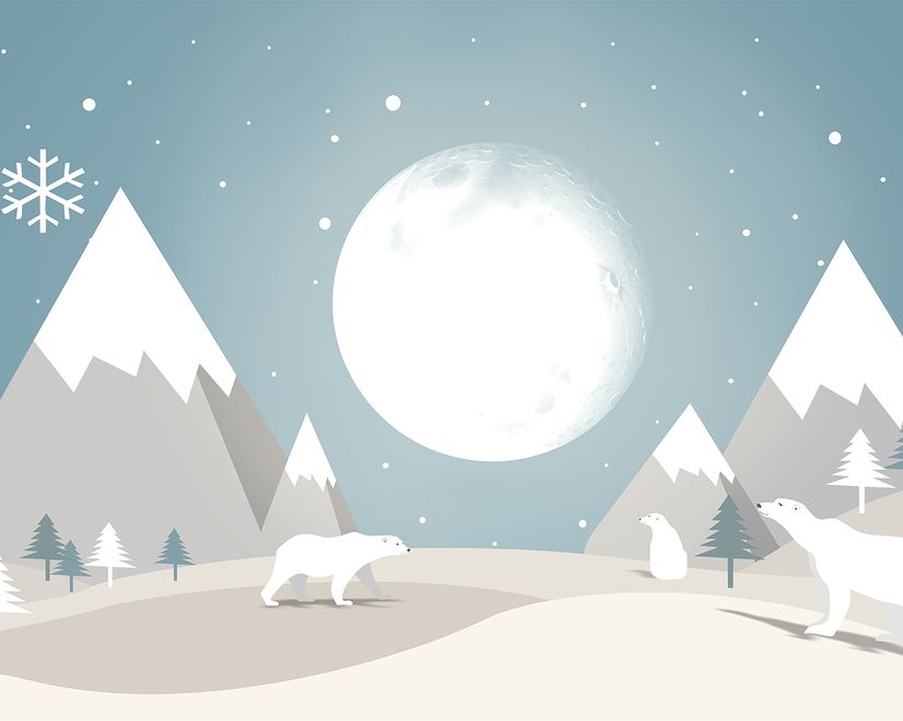Kids Mountainscape with Fullmoon and White Bears Wallpaper Mural