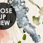 Watercolor Soft Peony Floral Blossom Wallpaper Mural