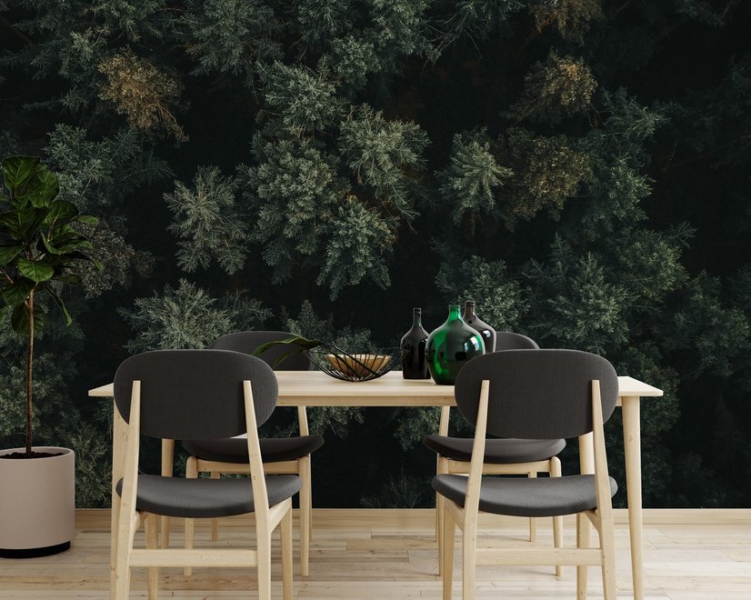 Pine Forest Aerial View Wallpaper Mural