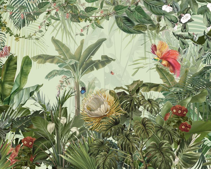 Papier peint plantes de la jungle tropicale