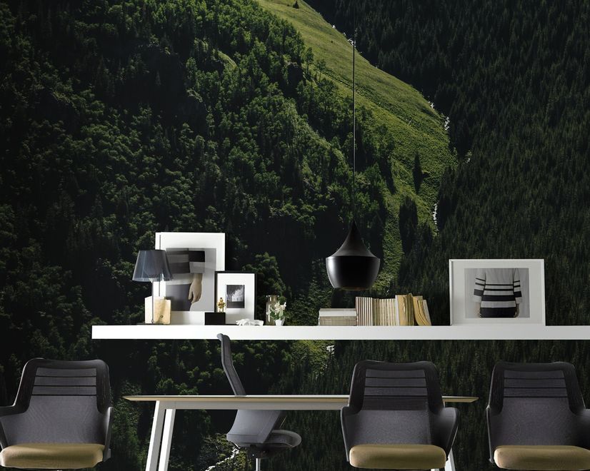 Aerial Nature Forest on Mountains View Wallpaper Mural