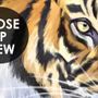 Kids Safari Watercolor Tropical  Forest Jungle Animals Wallpaper Mural
