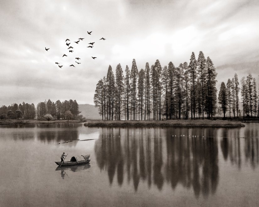 Papier peint panoramique monochrome sur les forêts sombres et les lacs