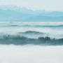 Misty Forest Landscape Wallpaper Mural