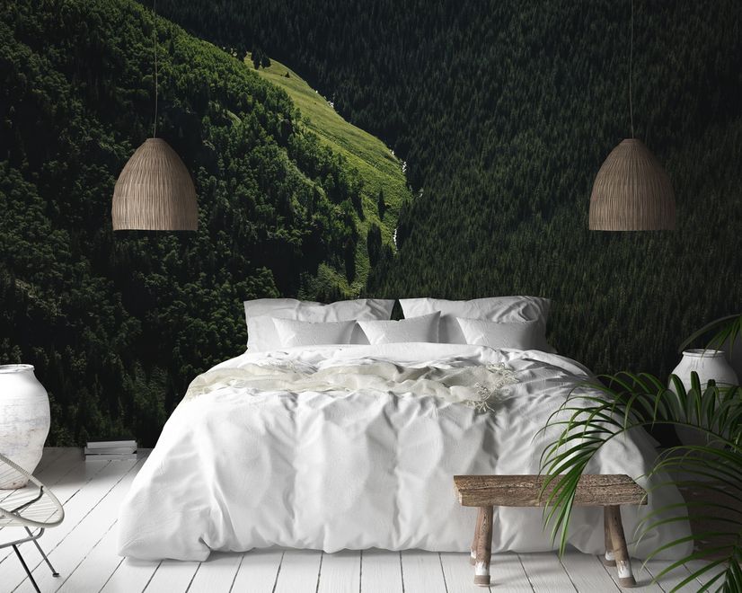 Aerial Nature Forest on Mountains View Wallpaper Mural