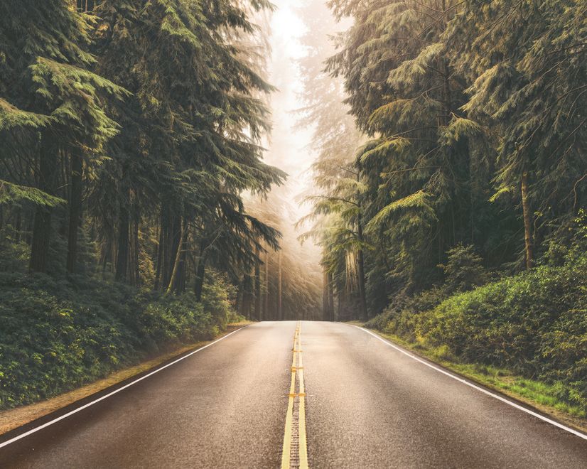 Highway on the Forest Landscape Wallpaper Mural