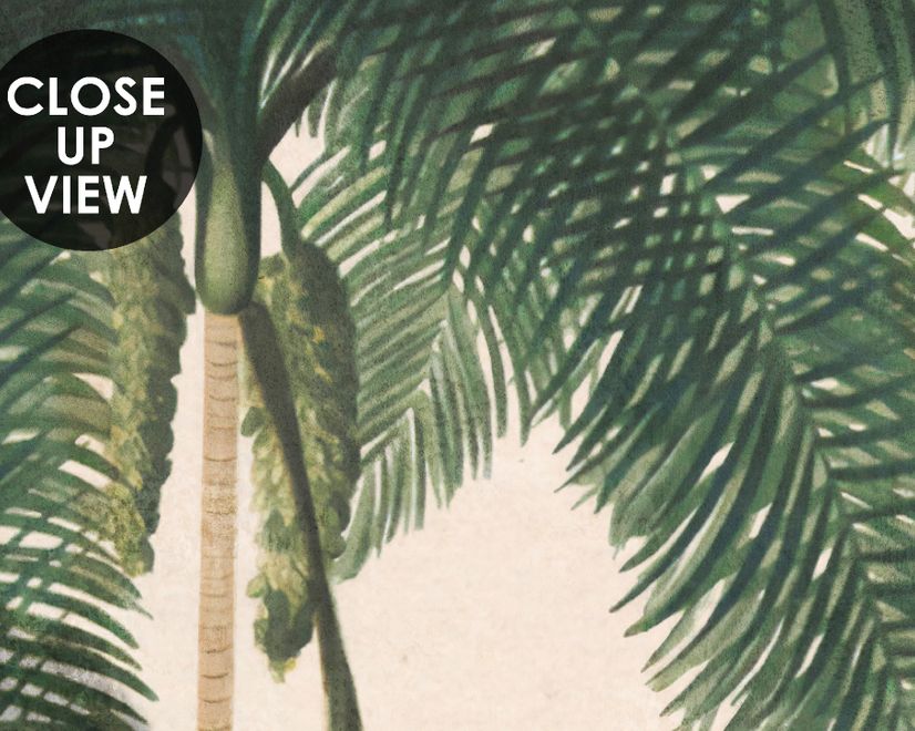 Tropical Nature Landscape with Birds Wallpaper Mural