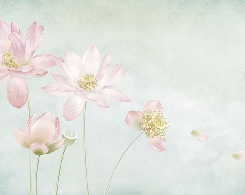 Light Pink Lotus Flower Wallpaper Mural