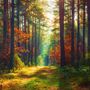Red Forest Autumn Wallpaper Mural