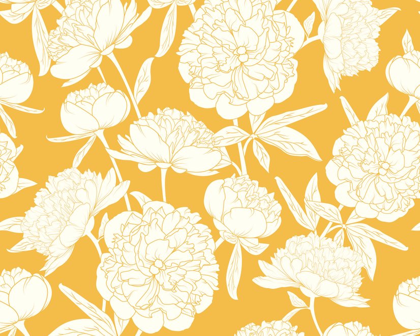 Zeichnung Pfingstrose Blumen Kunst Fototapete
