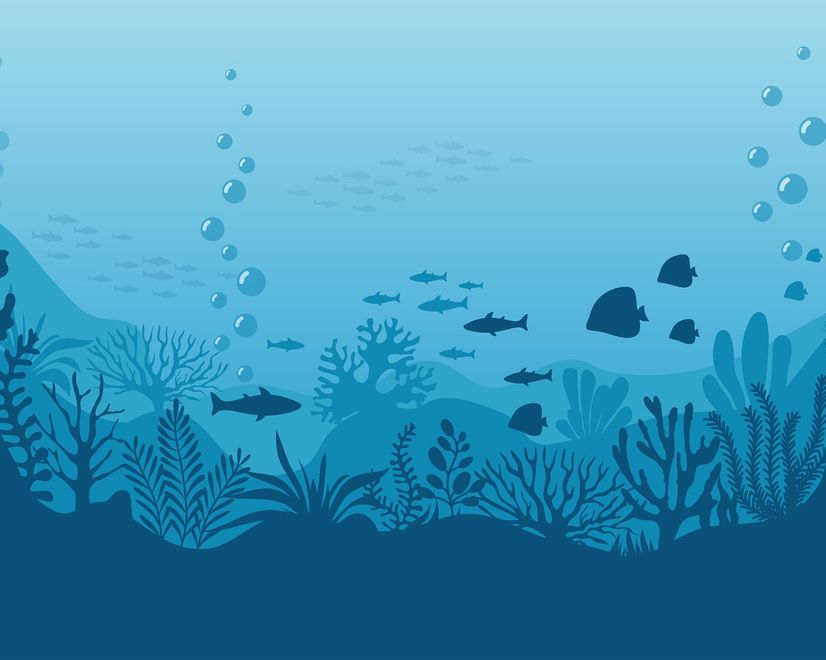 Kinder Unterwasser- und Fisch-Fototapete