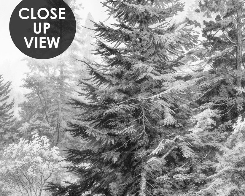 Monochrome forest with fog wallpaper mural showing tall pine trees, firs and silver-grey mist