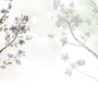 Watercolor Magnolia Floral Wallpaper Mural