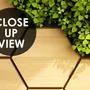 Hexagon Honeycomb Pattern and Fresh Grass Wallpaper Mural