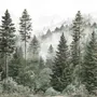 Misty mountain wallpaper mural with tall pine trees, layered green forest and pale foggy ridges