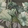 Papier peint panoramique de la feuille de lotus