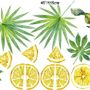 Yellow Lemon with Lily Florals Wall Decal Sticker