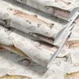 Watercolor fish wallpaper with trout, seashells and pale aqua washes on a warm cream ground
