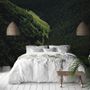 Aerial Nature Forest on Mountains View Wallpaper Mural