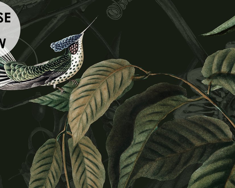 Fototapete mit dunklen botanischen Pflanzen und Tieren