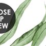 Watercolor Green Palm Leaf Pattern Wallpaper Mural