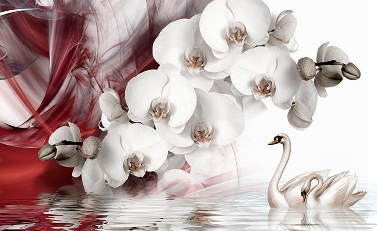 Papier peint panoramique cygnes et orchidées blanches avec motif fumée rouge