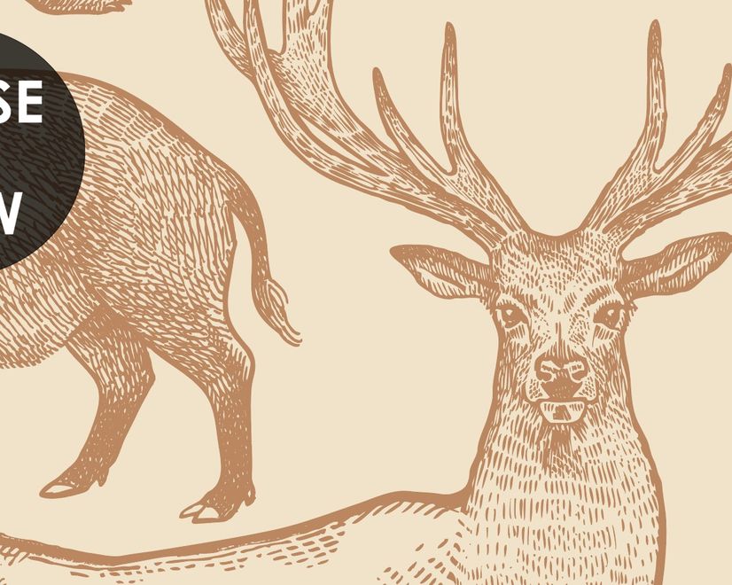 Nordic Animal Drawing for Kids Wallpaper Mural