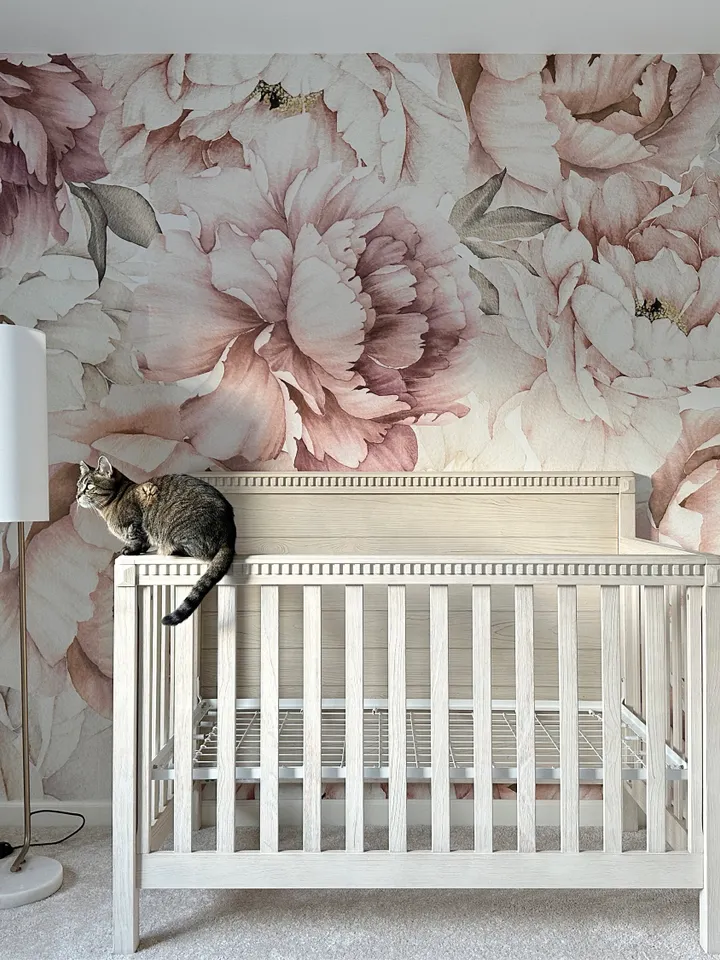 Nursery Pastel Peony Watercolor Floral For Girls Wallpaper Mural