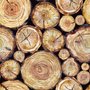 Papier peint souches de bois empilées