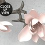 3D Optik Rosa Magnolienblüten Fototapete
