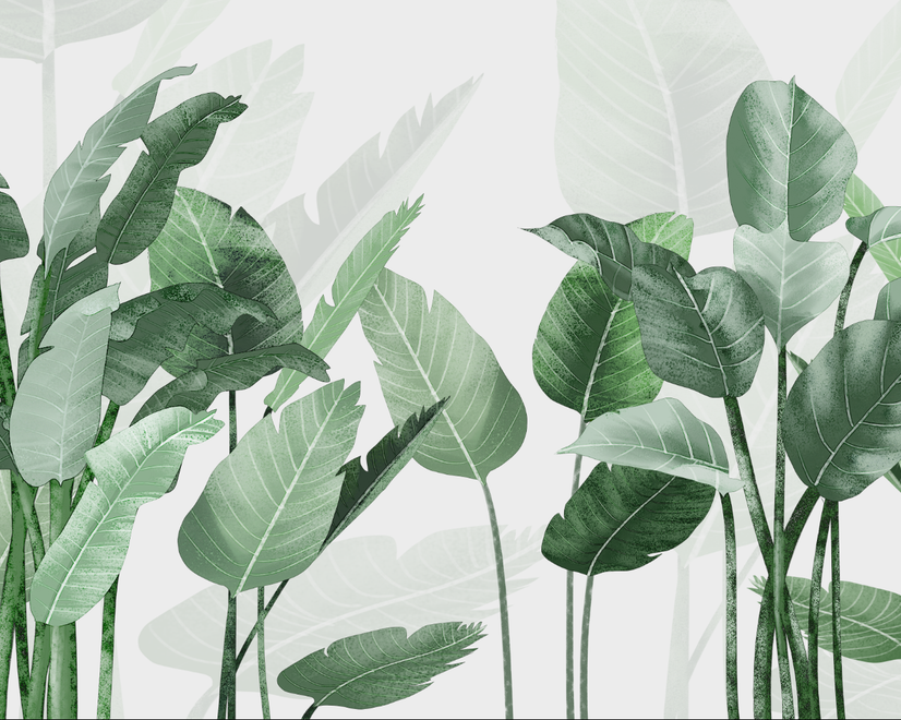 Fresh Green Tropical Leaf Wallpaper Mural