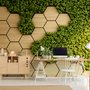 Hexagon Honeycomb Pattern and Fresh Grass Wallpaper Mural