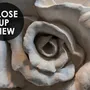 3D Embossed Look Cement Roses Wallpaper Mural