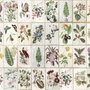 Vintage Floral Ceramic Art Wallpaper Mural