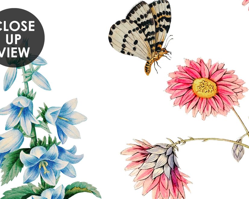 Botanische Blumen Fototapete mit Vögeln