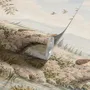 Watercolour woodland wall mural with fawn, rabbits, stone bridge, stream and distant cypress countryside