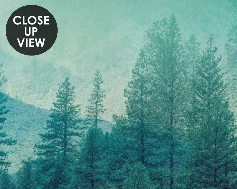Misty Green Forest with Birds Wallpaper Mural