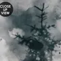 Watercolor Style Abstract Misty Dark Forest Wallpaper Mural