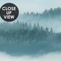 Misty Forest Landscape Wallpaper Mural