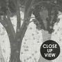 Light gray wallpaper mural with layered ink-wash woodland trees, falling leaves and birds
