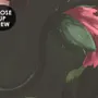 Dutch Flower Peony with Tulips Dark Floral Wallpaper Mural