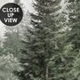 Misty mountain wallpaper mural with tall pine trees, layered green forest and pale foggy ridges