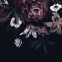 Papier peint floral sombre pivoine cramoisie
