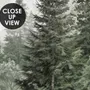 Misty mountain wallpaper mural with tall pine trees, layered green forest and pale foggy ridges