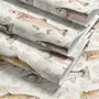 Watercolor fish wallpaper with trout, seashells and pale aqua washes on a warm cream ground