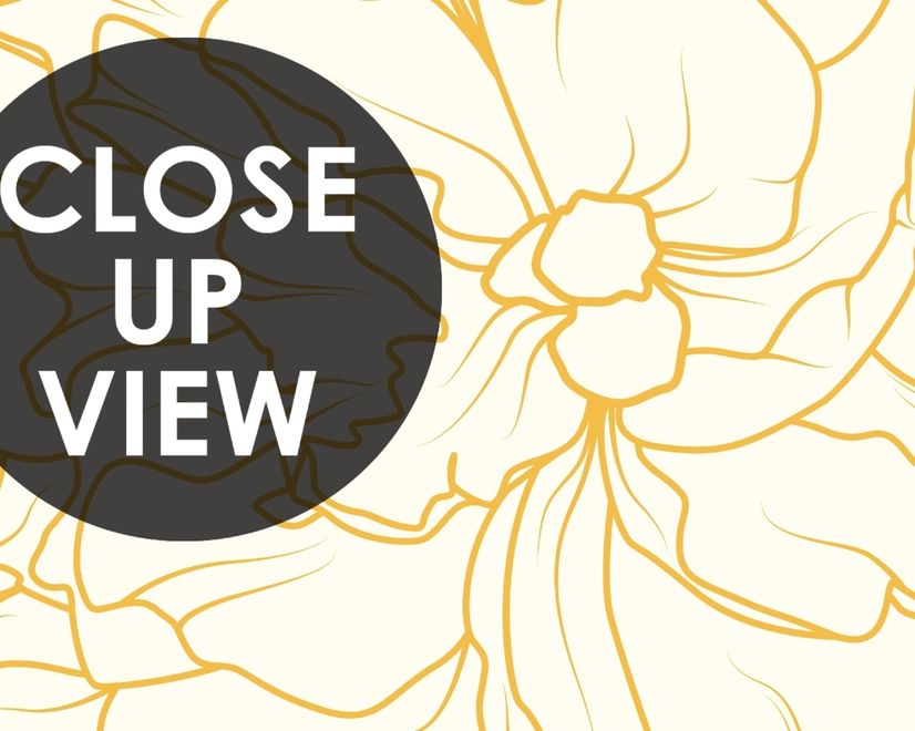 Drawing Peony Floral Art Wallpaper Mural