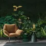 Dark Tropical Plants Wallpaper Mural
