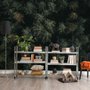 Papier peint panoramique vue aérienne forêt de pins