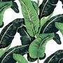 Green Banana Leaf Pattern Wallpaper Mural