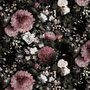 Dunkle Blumen Fototapete mit Rosa Chrysanthemen und Grünen Blättern